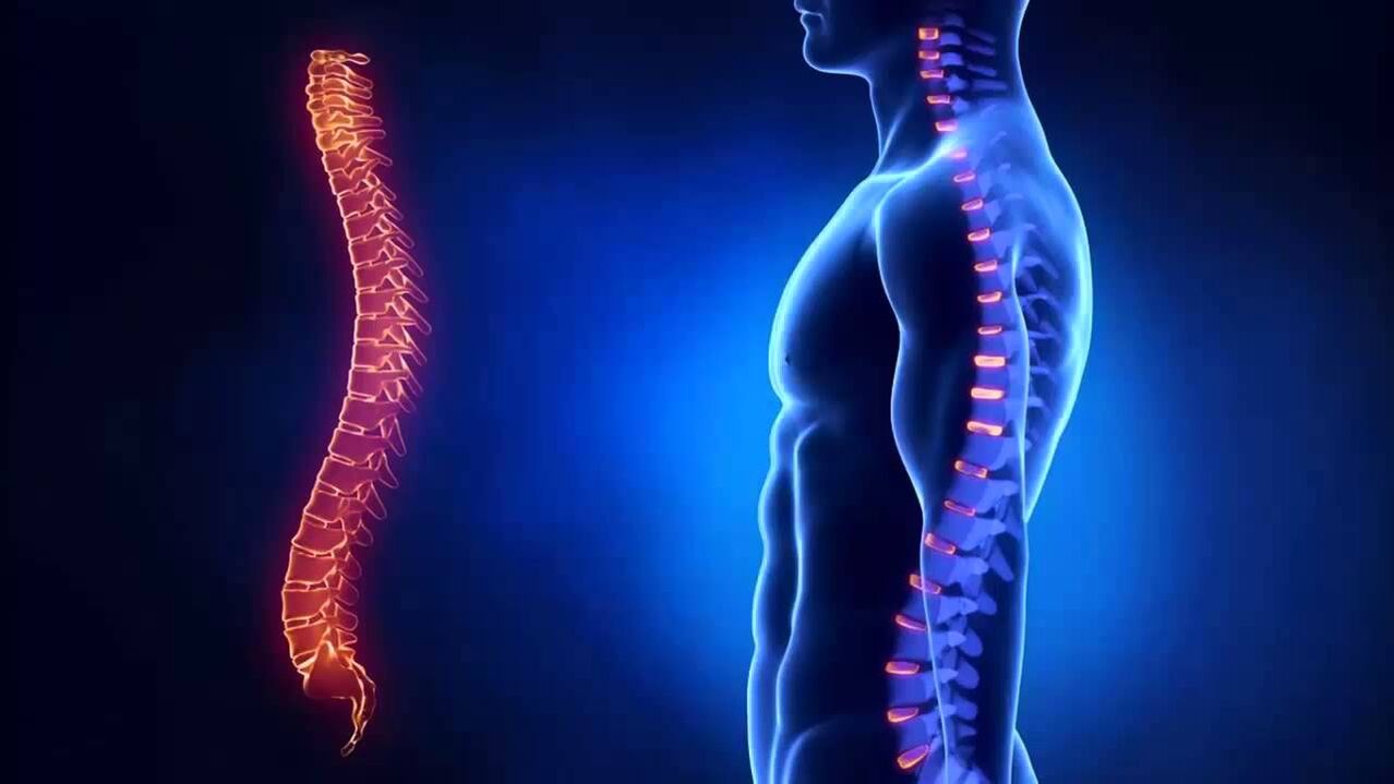 Osteochondrozė klasifikuojama pagal stuburo dalis, kuriose liga vystosi.